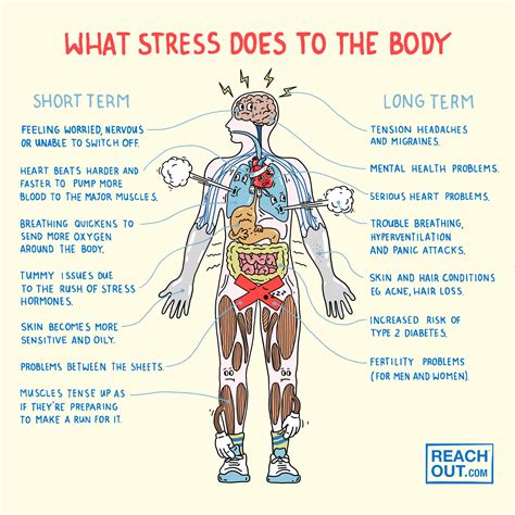 Harvard Health Insights on Pain, Anxiety, and Depression