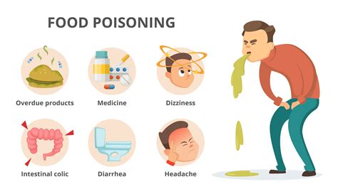 How Does Food Poisoning Impact Digestive and Lymphatic Systems?