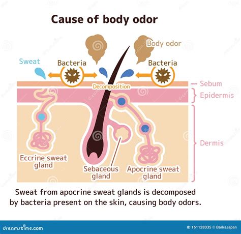 Understanding Changes in Body Odor: Causes and Solutions