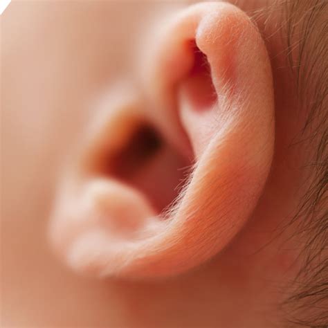 Understanding Chronic Ear Infections