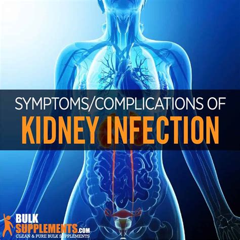 Understanding Kidney Infection: Symptoms, Causes, and Treatments