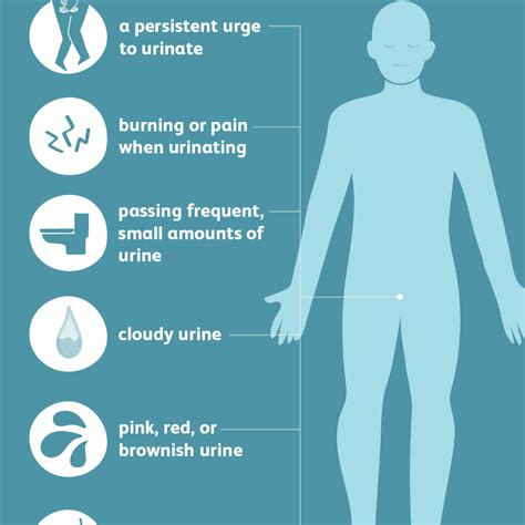 What Are the Symptoms and Causes of Urinary Tract Infections?