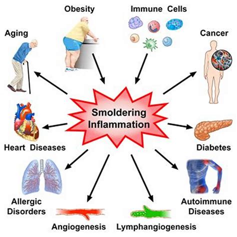 What is Inflammation and How Can It Be Dangerous?