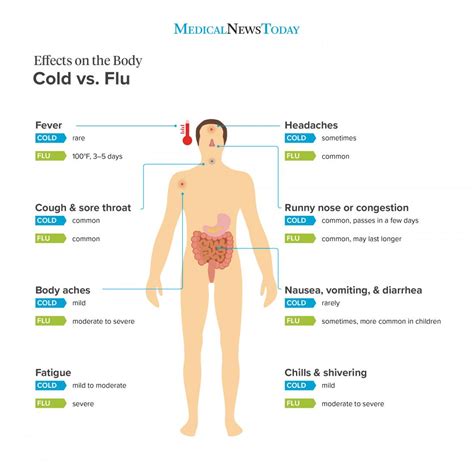 Why Do Muscles and Joints Ache During the Flu?