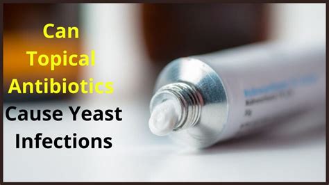 Do Antibiotics Cause Yeast Infections? Insights from Health Experts