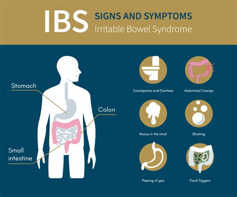 Exploring the Causes and Management of Irritable Bowel Syndrome (IBS)