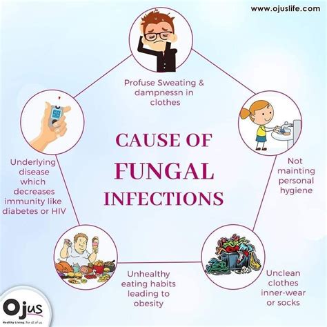 Exploring the Rising Threat of Fungal Infections in the Human Body