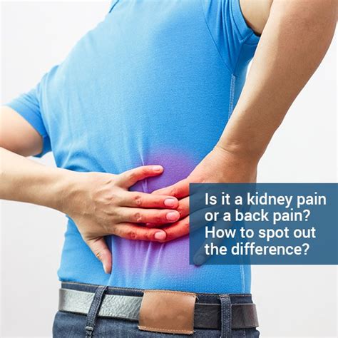 Is Back Pain a Symptom of a Kidney Problem? Understanding the Connection