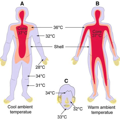 Is It Time to Redefine the Normal Body Temperature Range?