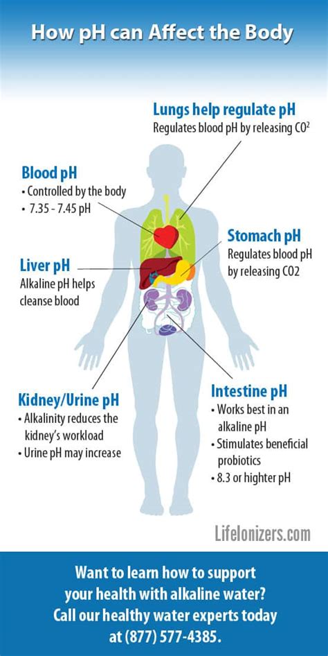 Understanding Body pH: Its Impact on Health, Disease, and Aging