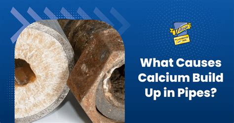 Understanding Calcium: Essential for Bones and Beyond