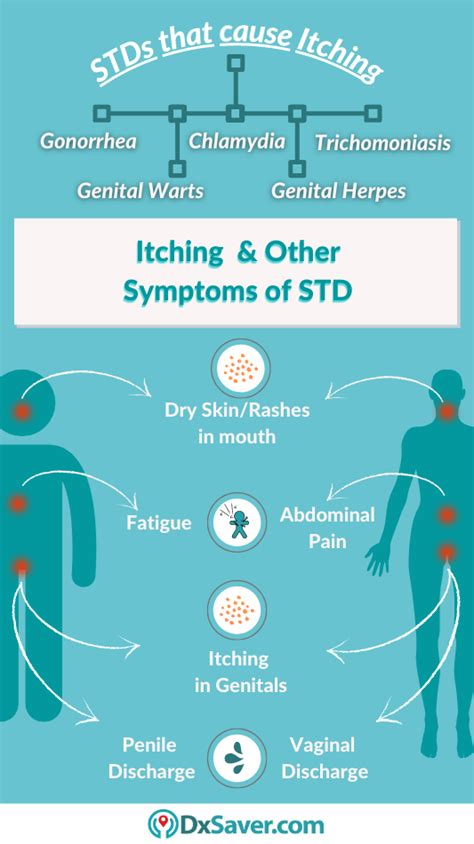 Understanding Common Stds Symptoms Causes And Prevention Reasons For Disease 6679