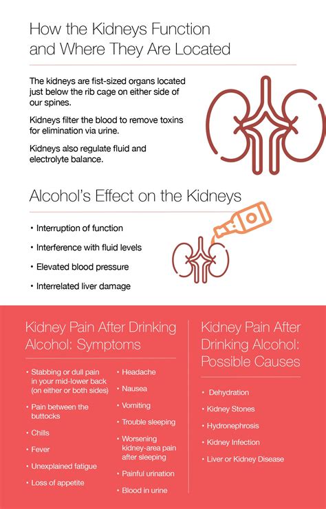 Understanding Kidney Health: Risks and Prevention Tips