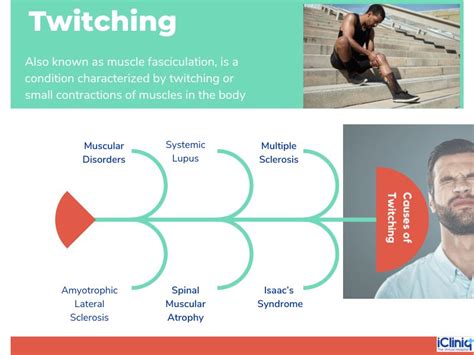 Understanding Muscle Twitches