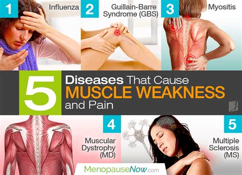 Understanding Muscle Weakness