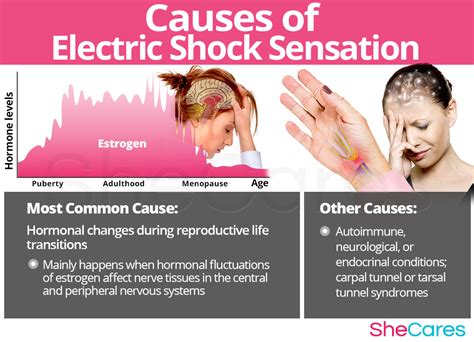 Understanding the Impact of Electric Shock on the Human Body