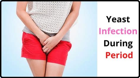 Understanding the Link Between Menstrual Cycles and Recurrent Yeast Infections