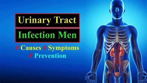 Understanding Urinary Tract Infections in Men: Causes, Symptoms, and Treatments